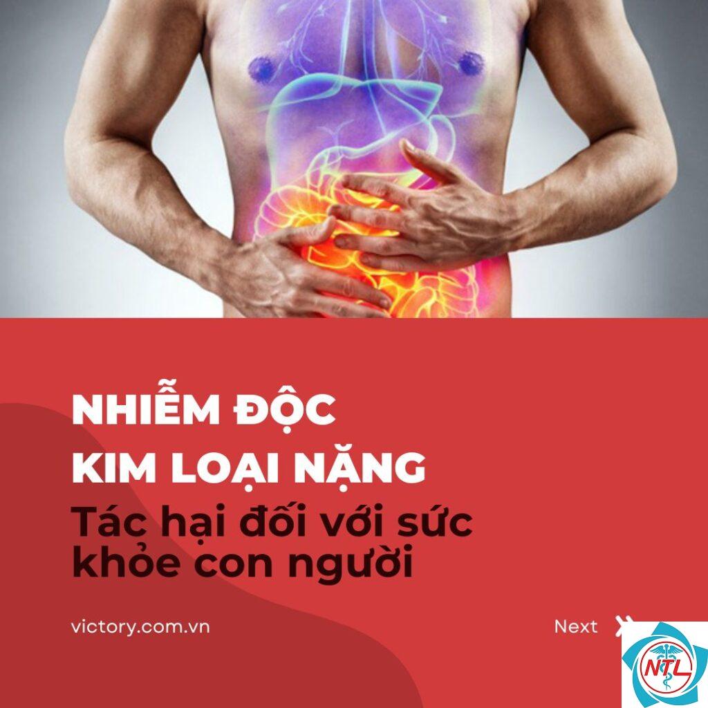 bệnh thận do kim loại nặng - Image 2