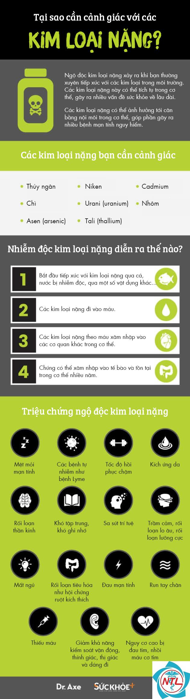 bệnh thận do kim loại nặng - Image 4