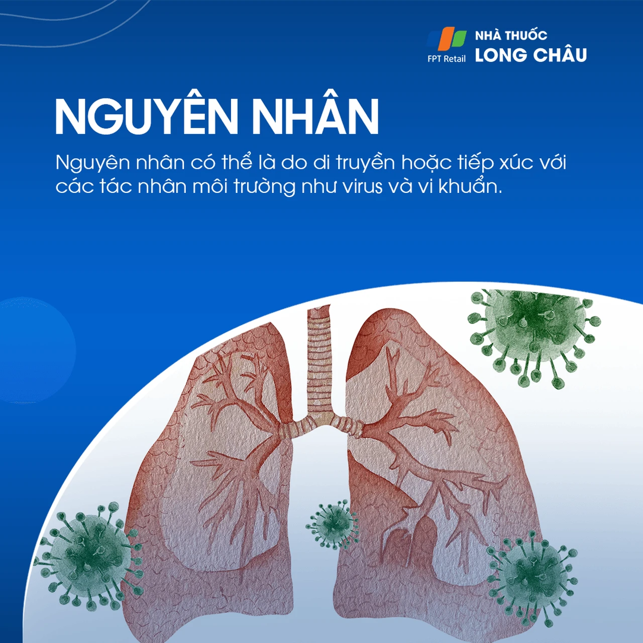 bệnh thận do sarcoidosis - Image 3