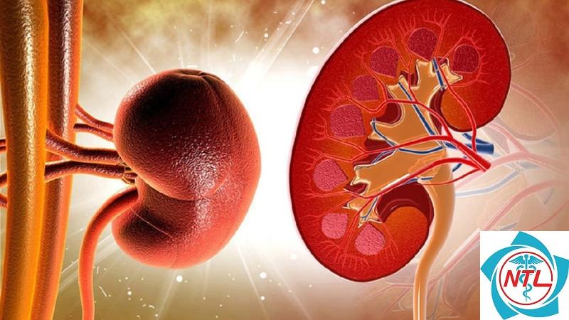 bệnh thận giai đoạn cuối ở người cao tuổi - Image 5