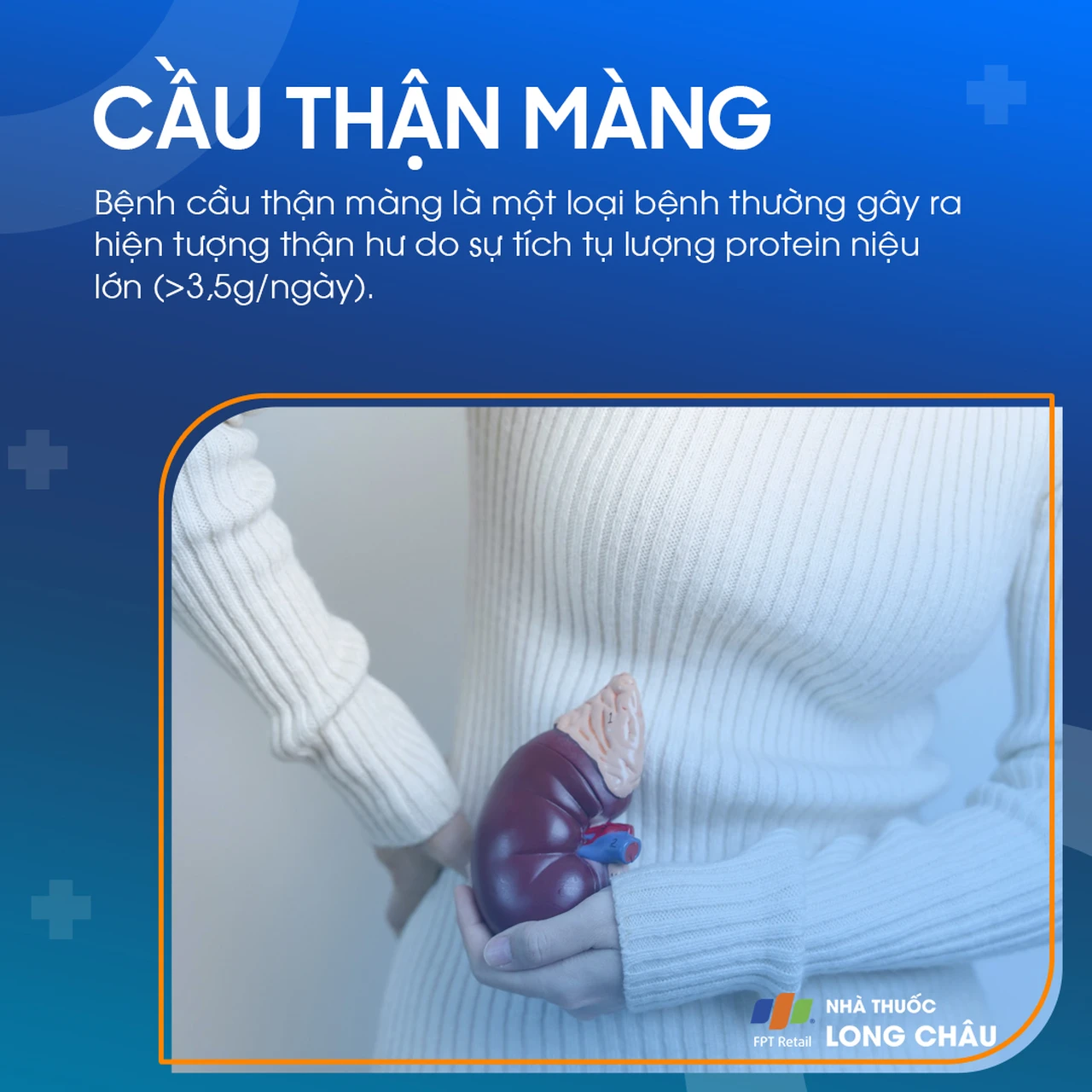 bệnh thận màng - Image 3
