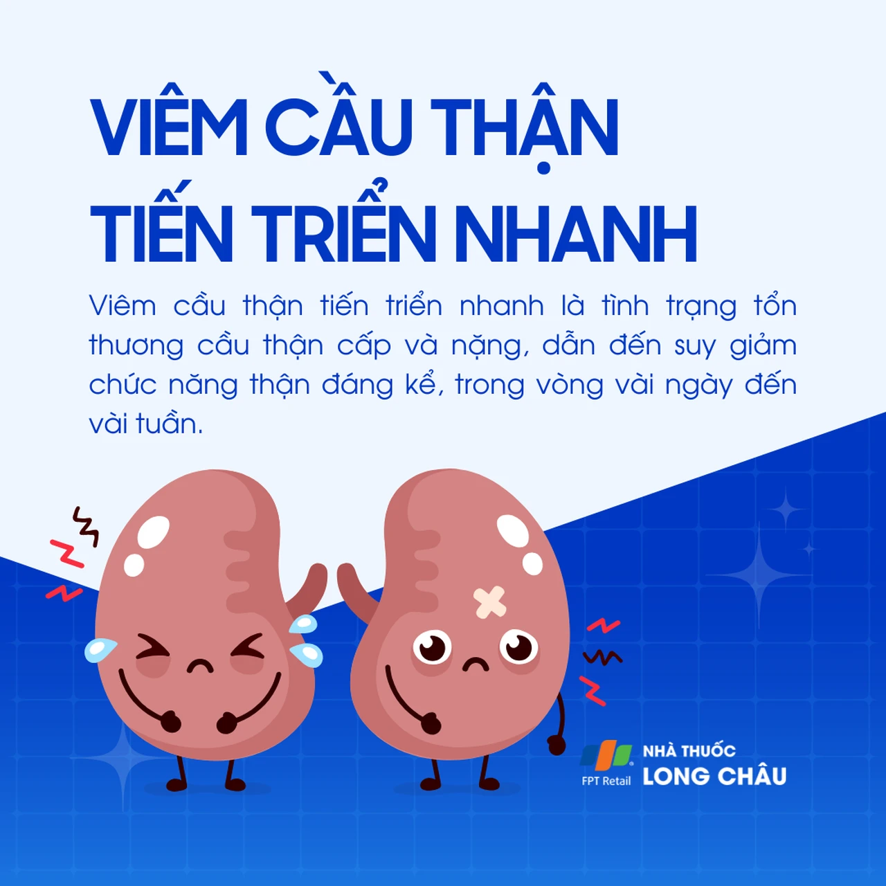 bệnh thận tiến triển nhanh - Image 2