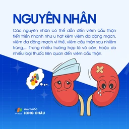 bệnh thận tiến triển nhanh - Image 5