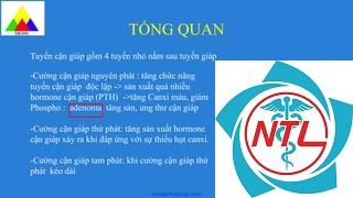 cường cận giáp thứ phát do suy thận - Image 3