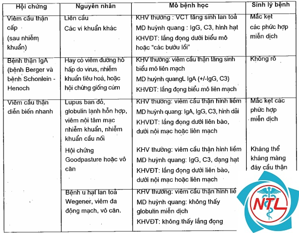 hội chứng thận viêm cấp - Image 3