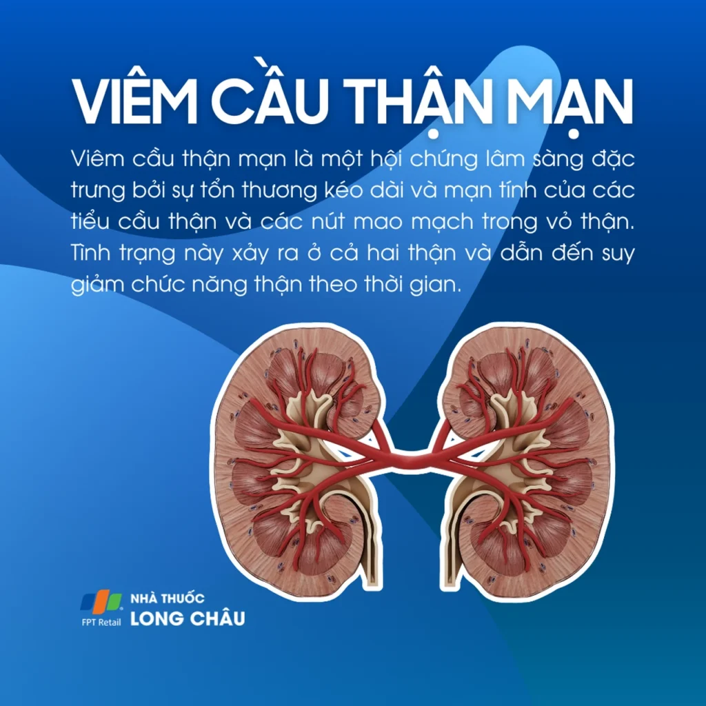 hội chứng thận viêm mạn