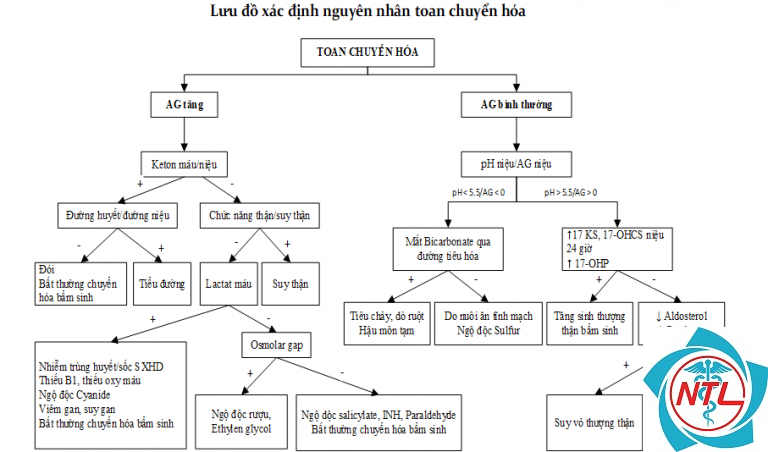 kiềm chuyển hóa do bệnh thận - Image 4