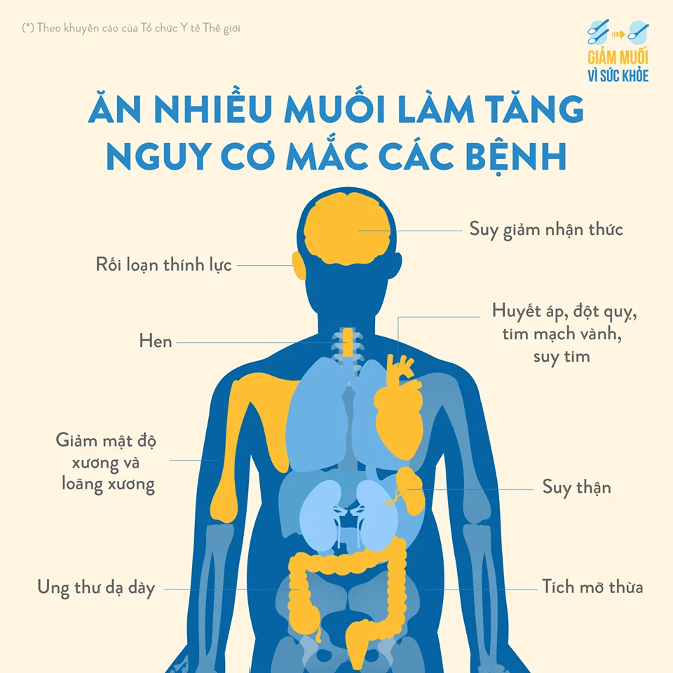 mất muối qua thận - Image 1