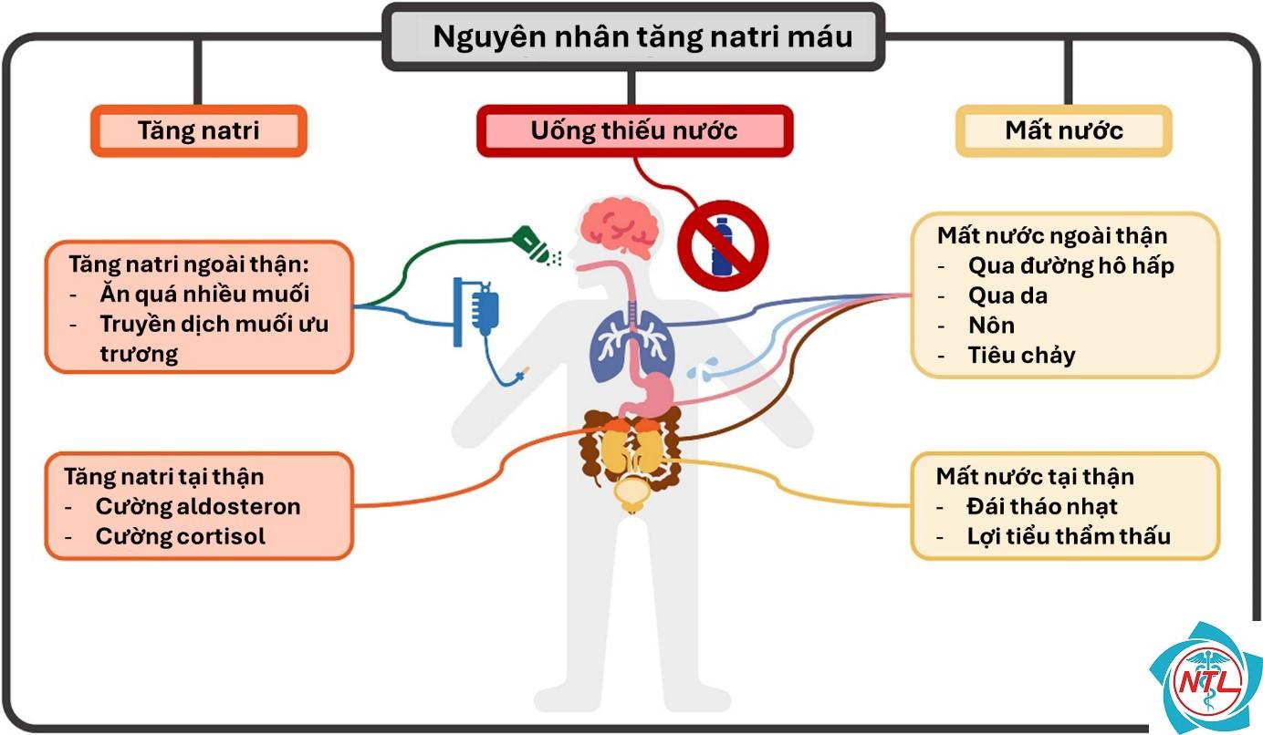 mất muối qua thận - Image 3