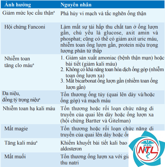 rối loạn chức năng ống thận - Image 2