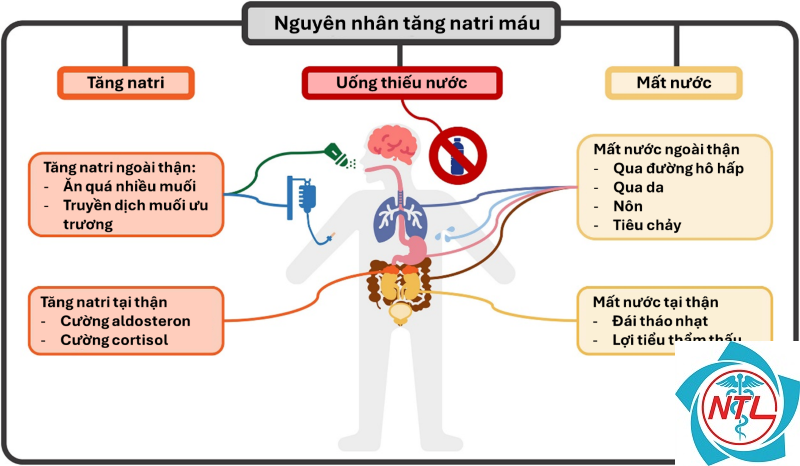 rối loạn natri do bệnh thận - Image 3