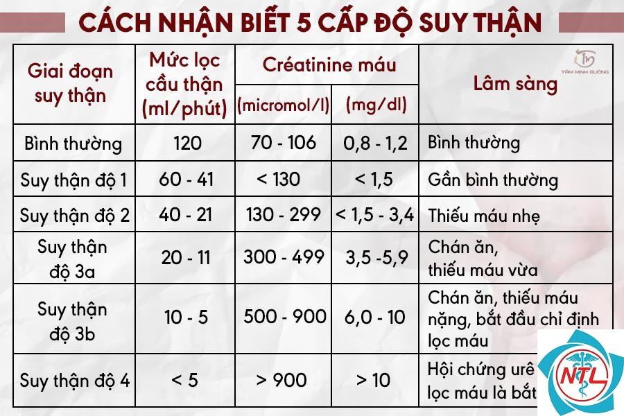 suy thận cấp do bệnh cầu thận - Image 2