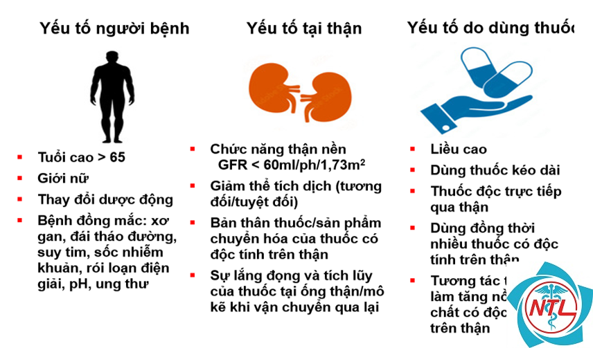 suy thận cấp do thuốc - Image 2