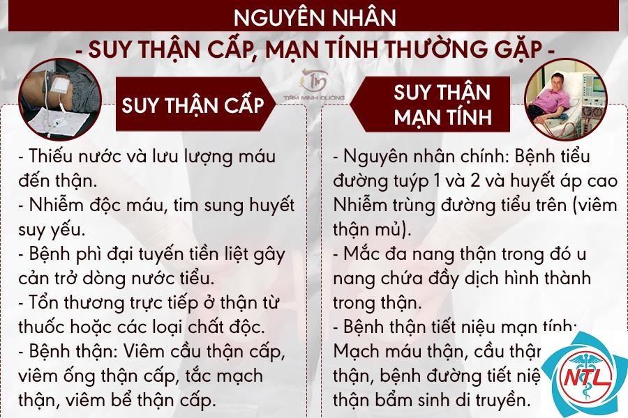 suy thận cấp sau nhiễm trùng - Image 4