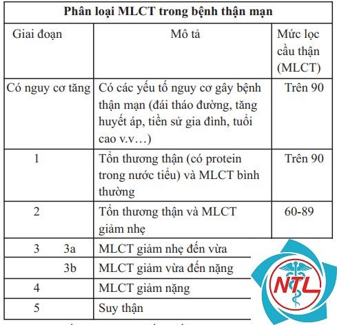 suy thận mạn do bệnh cầu thận - Image 4