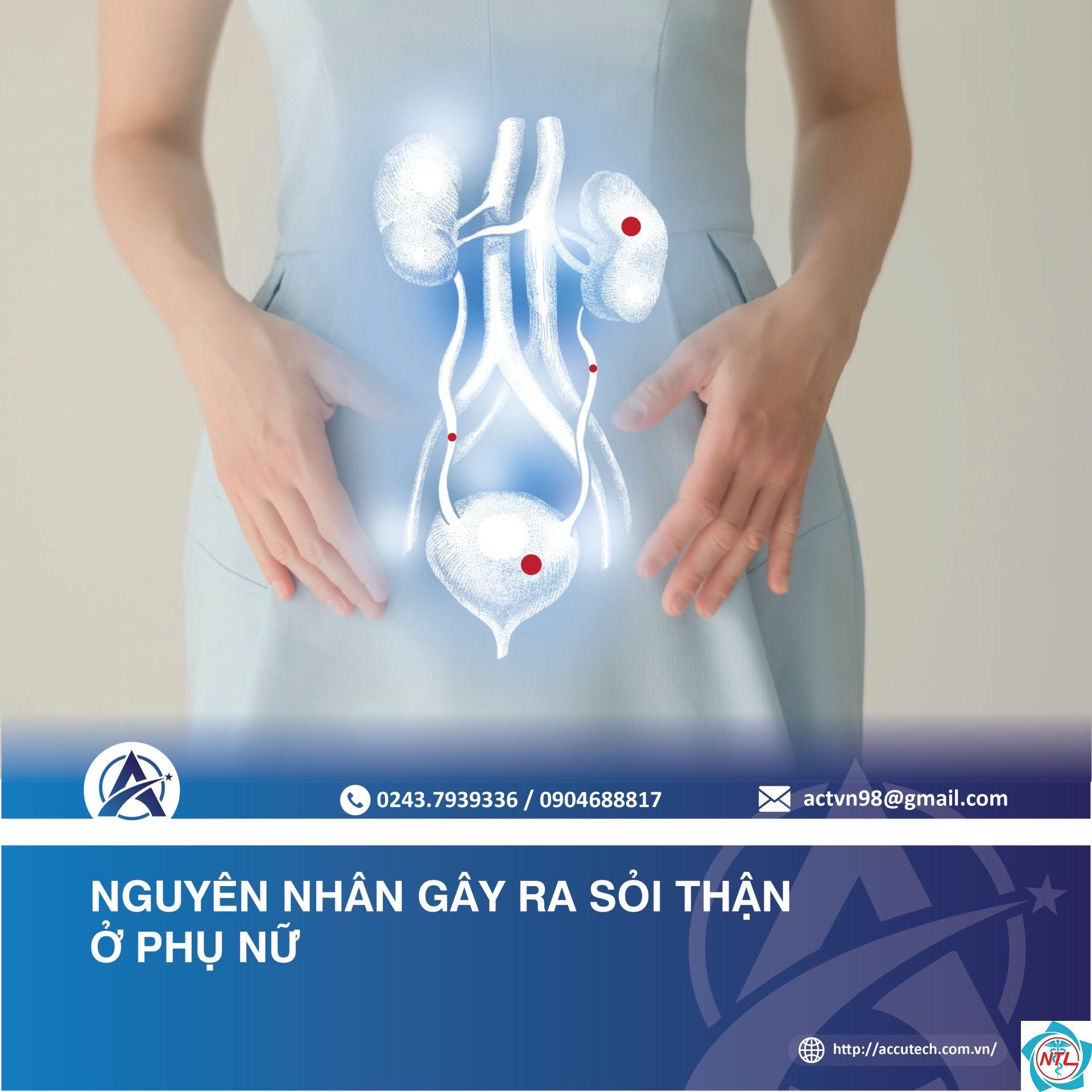 thận phụ - Image 4