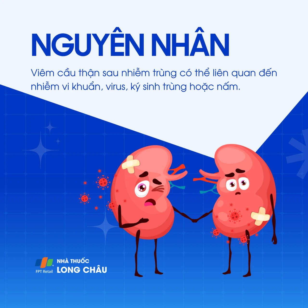 viêm cầu thận sau nhiễm trùng - Image 2